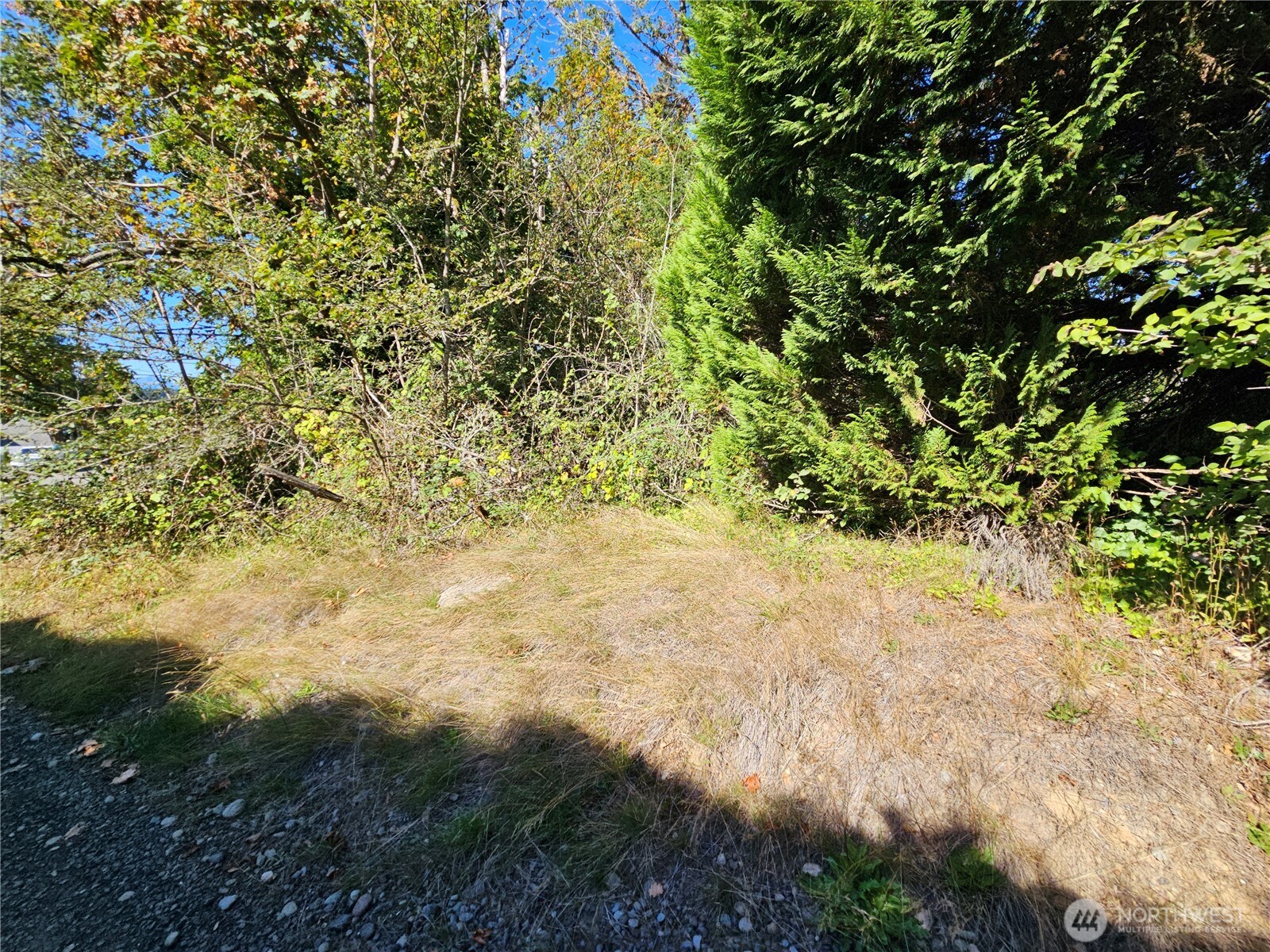 22550 Ne Sr-3 Highway Property Photo 17