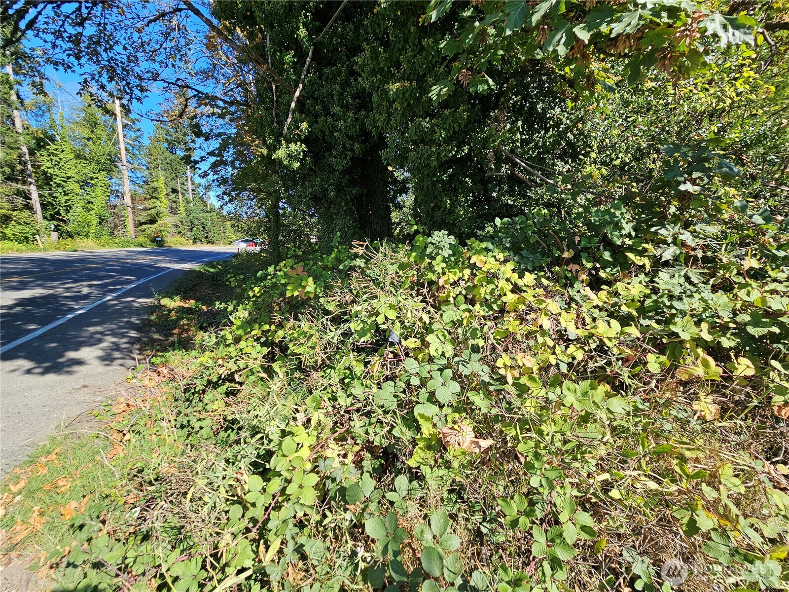22550 Ne Sr-3 Highway Property Photo 19