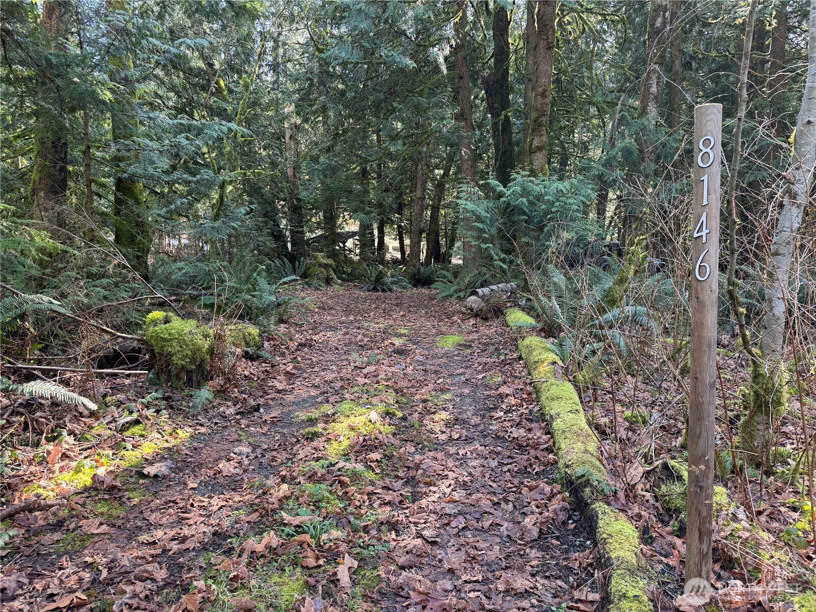 8146 Watkins Road Property Photo 1
