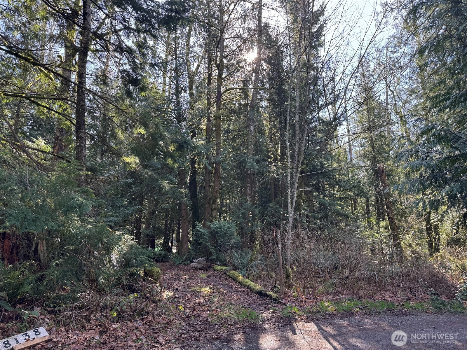 8146 Watkins Road Property Photo 8