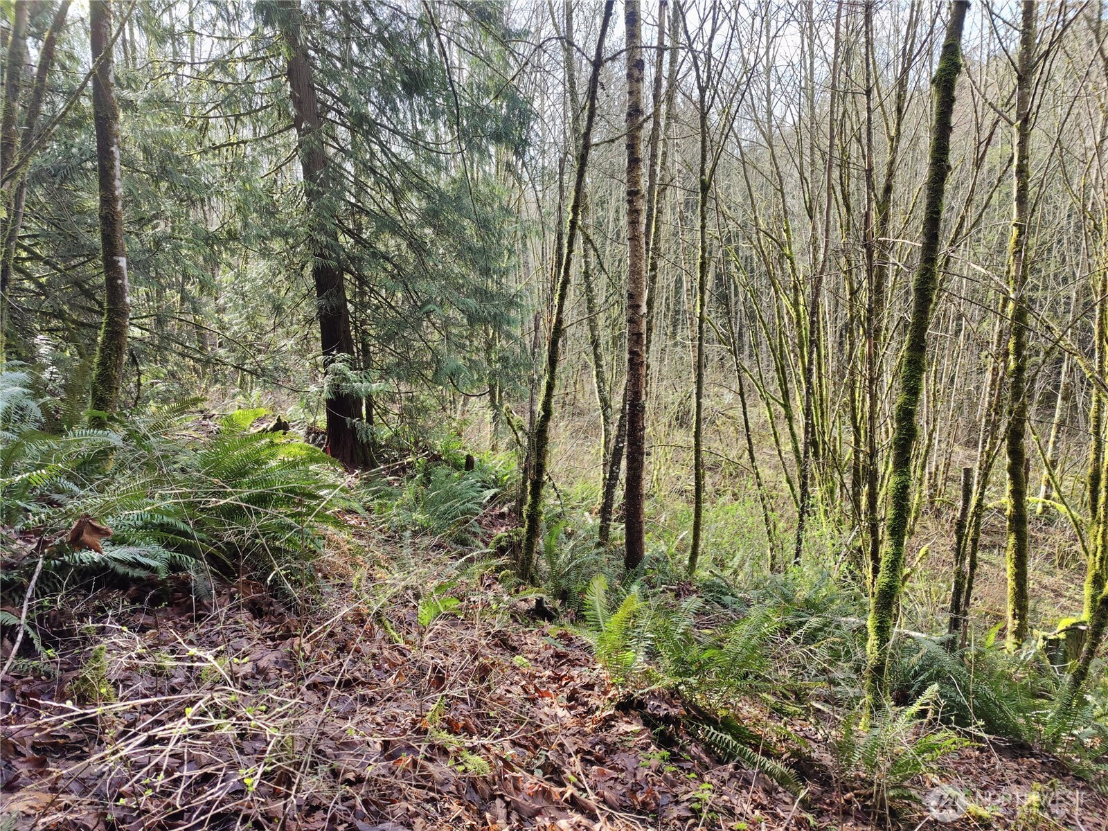 8146 Watkins Road Property Photo 14