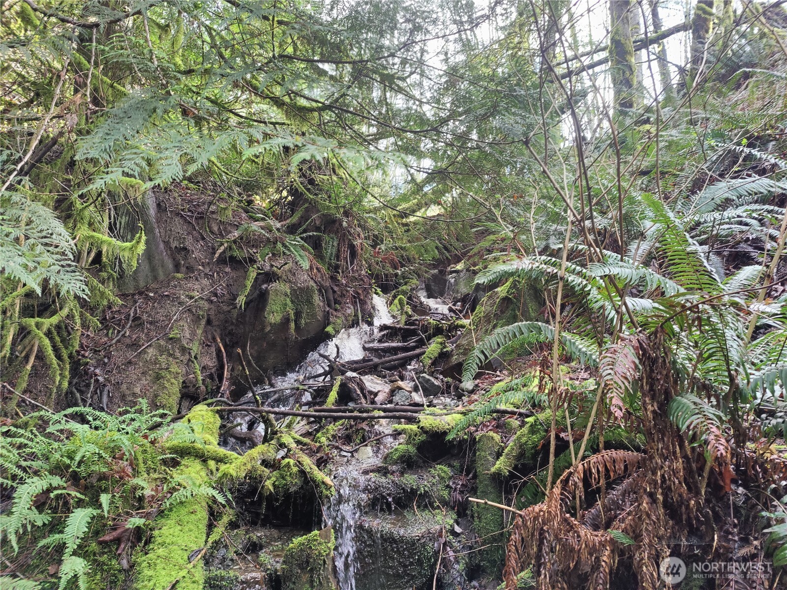 8146 Watkins Road Property Photo 17