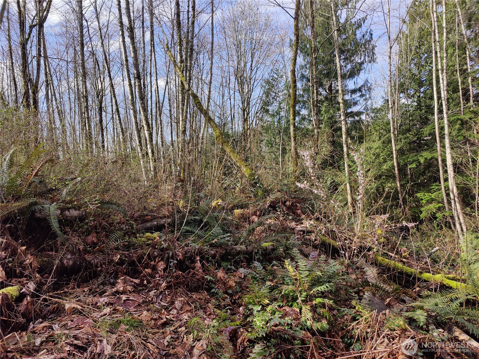8146 Watkins Road Property Photo 18