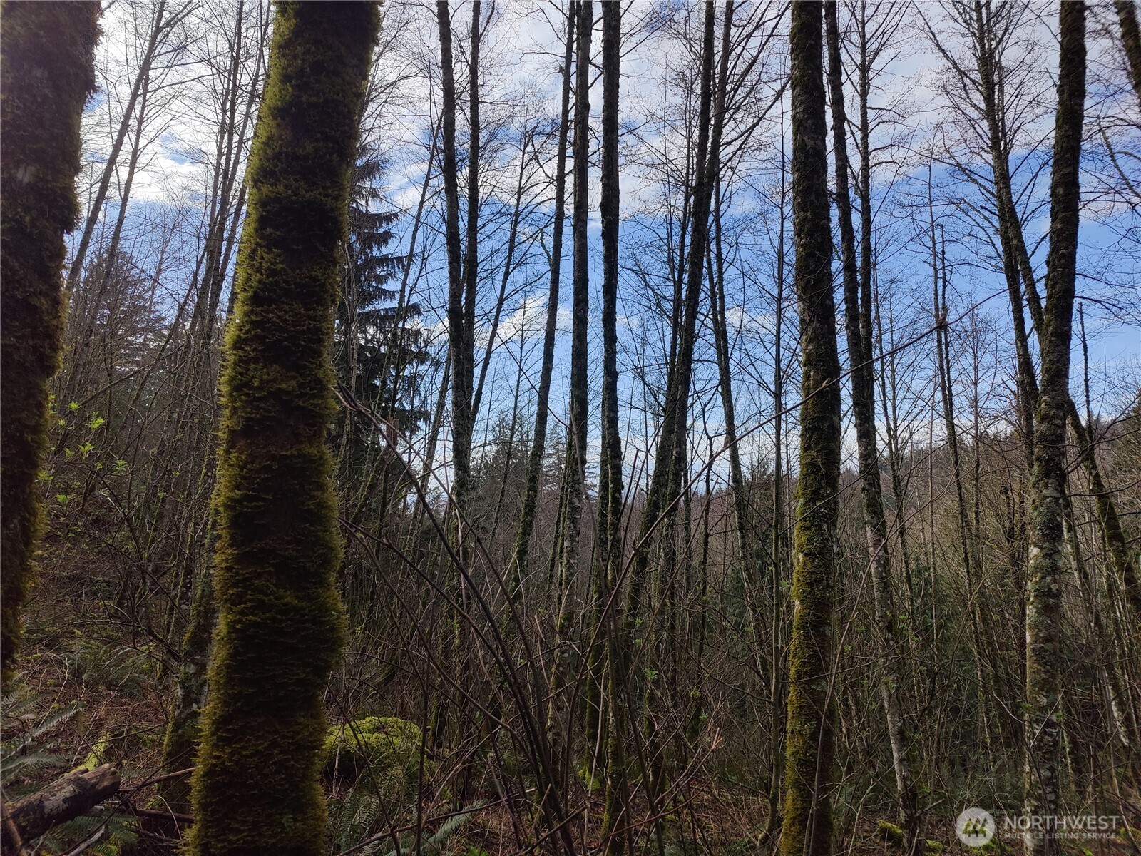 8146 Watkins Road Property Photo 20