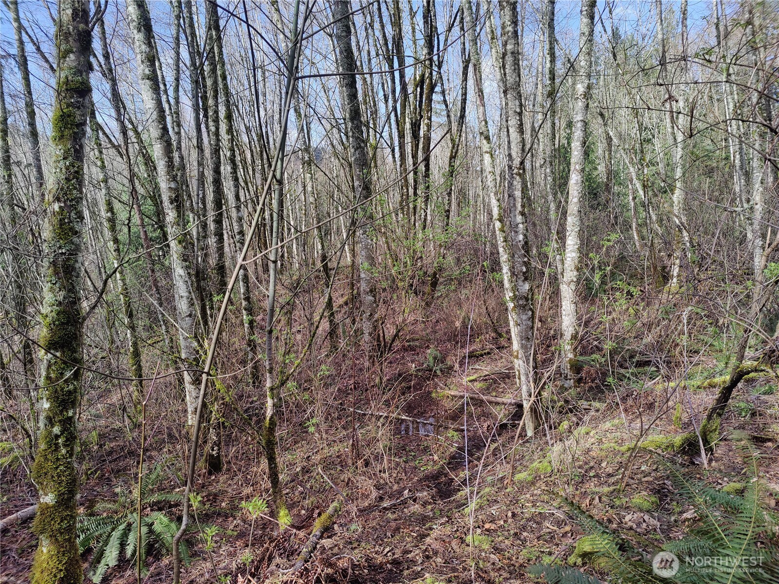 8146 Watkins Road Property Photo 21