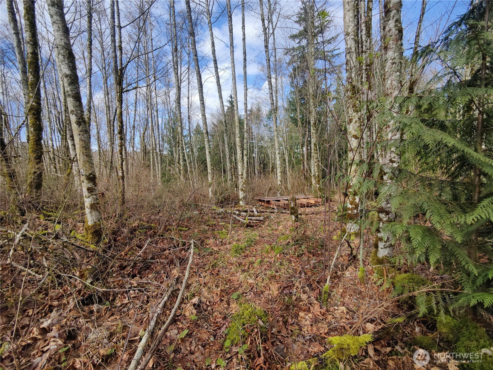 8146 Watkins Road Property Photo 23