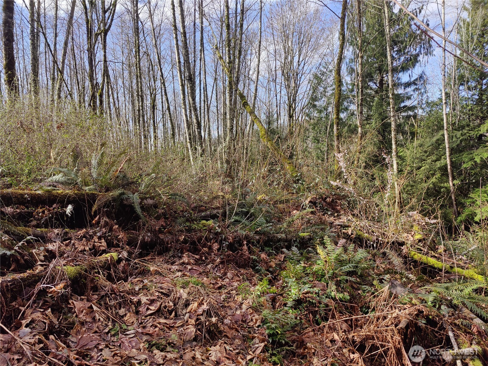 8146 Watkins Road Property Photo 25