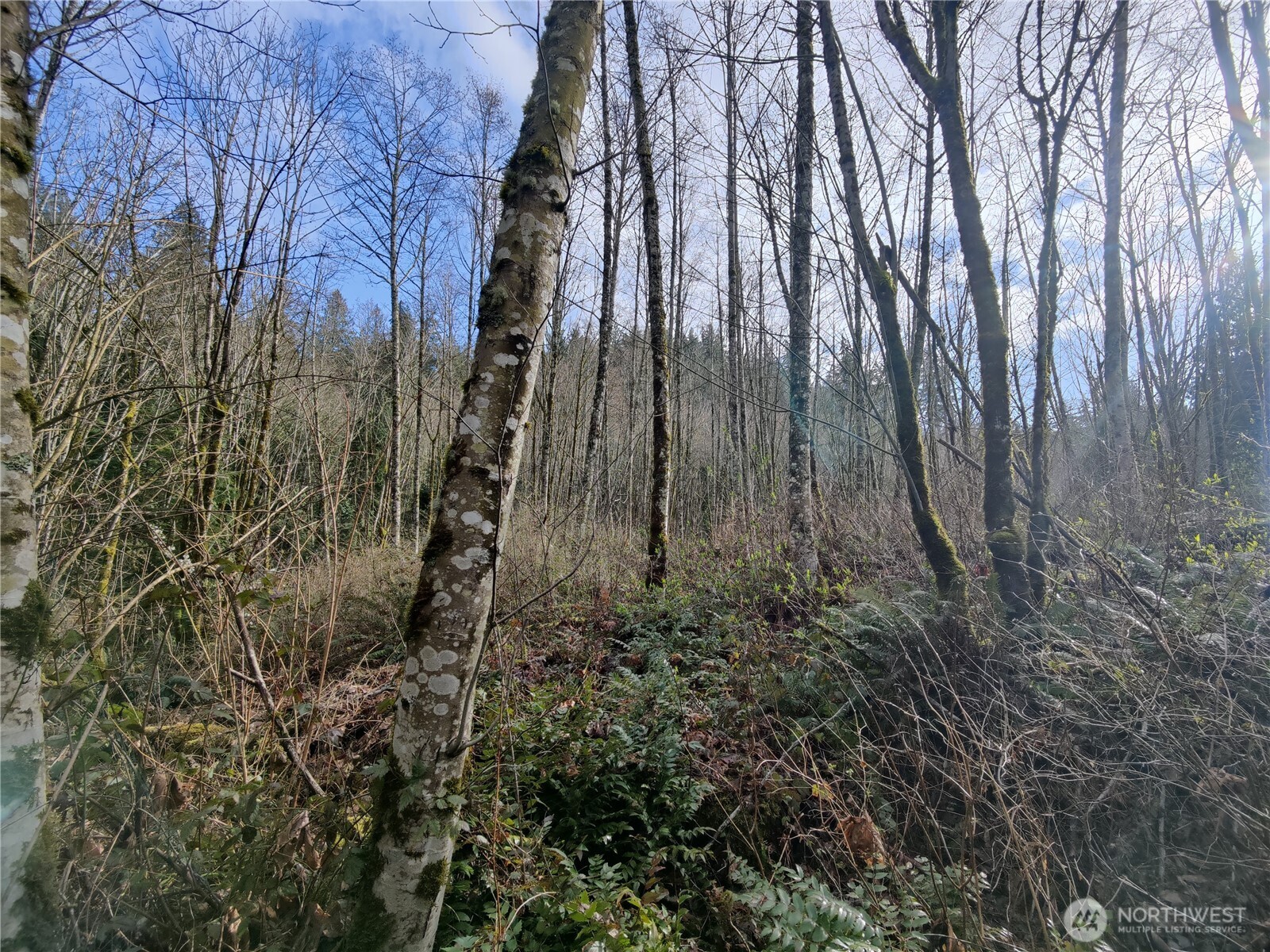 8146 Watkins Road Property Photo 28