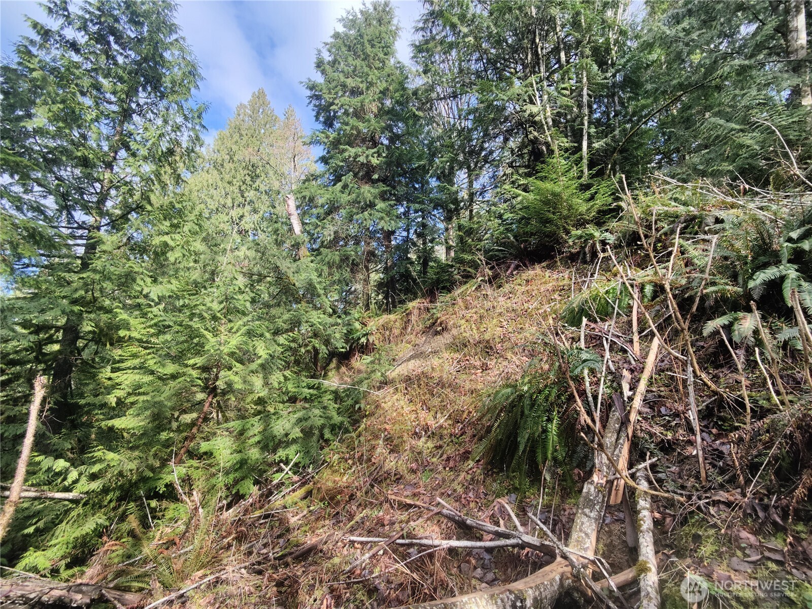 8146 Watkins Road Property Photo 30