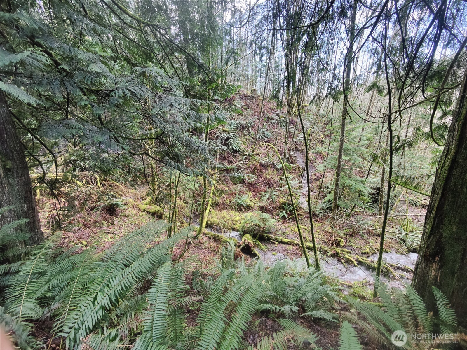 8146 Watkins Road Property Photo 35