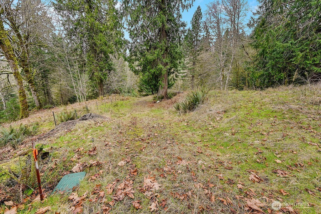 376 Beach Drive Property Photo 6