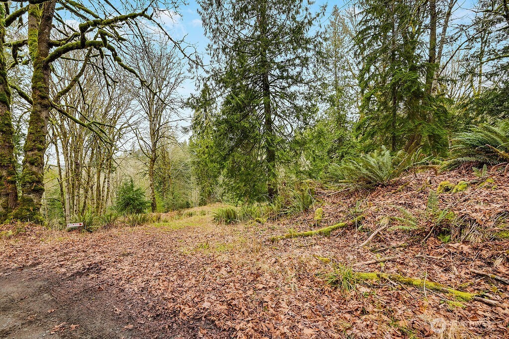 376 Beach Drive Property Photo 11