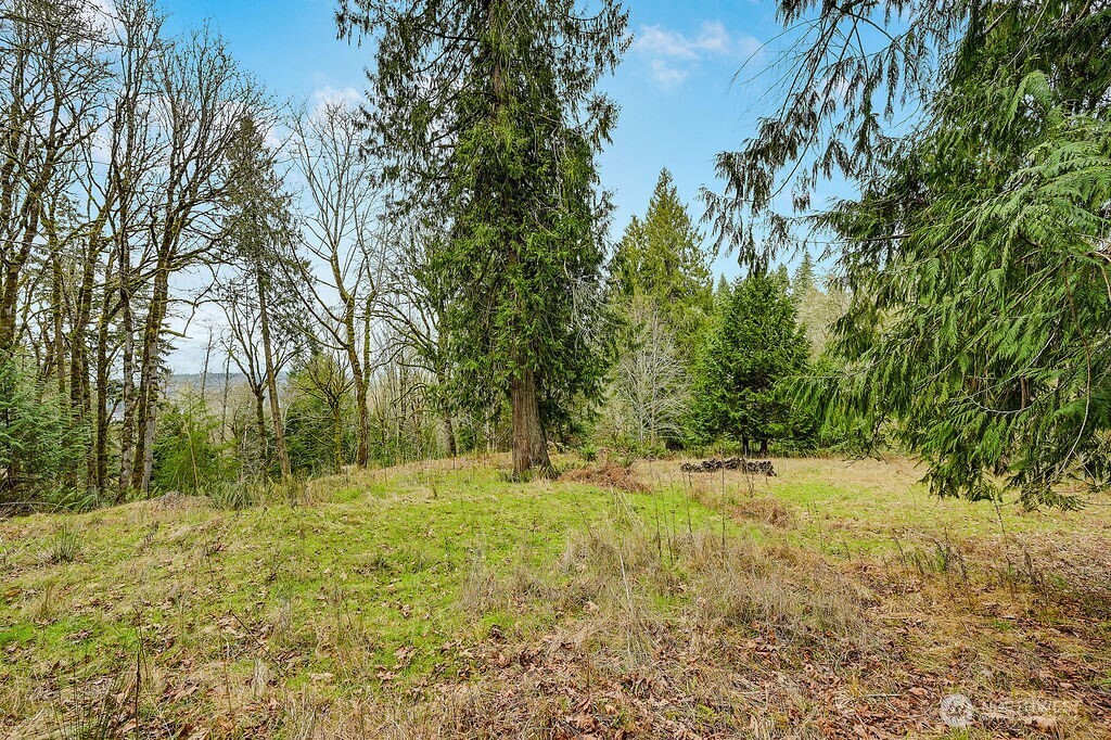 376 Beach Drive Property Photo 13