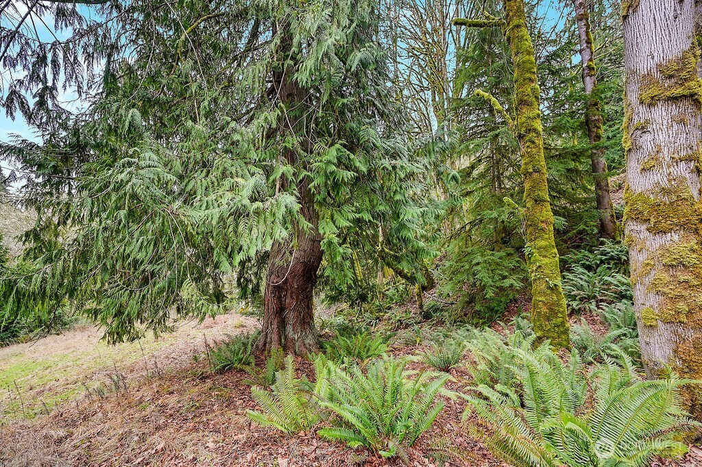 376 Beach Drive Property Photo 14