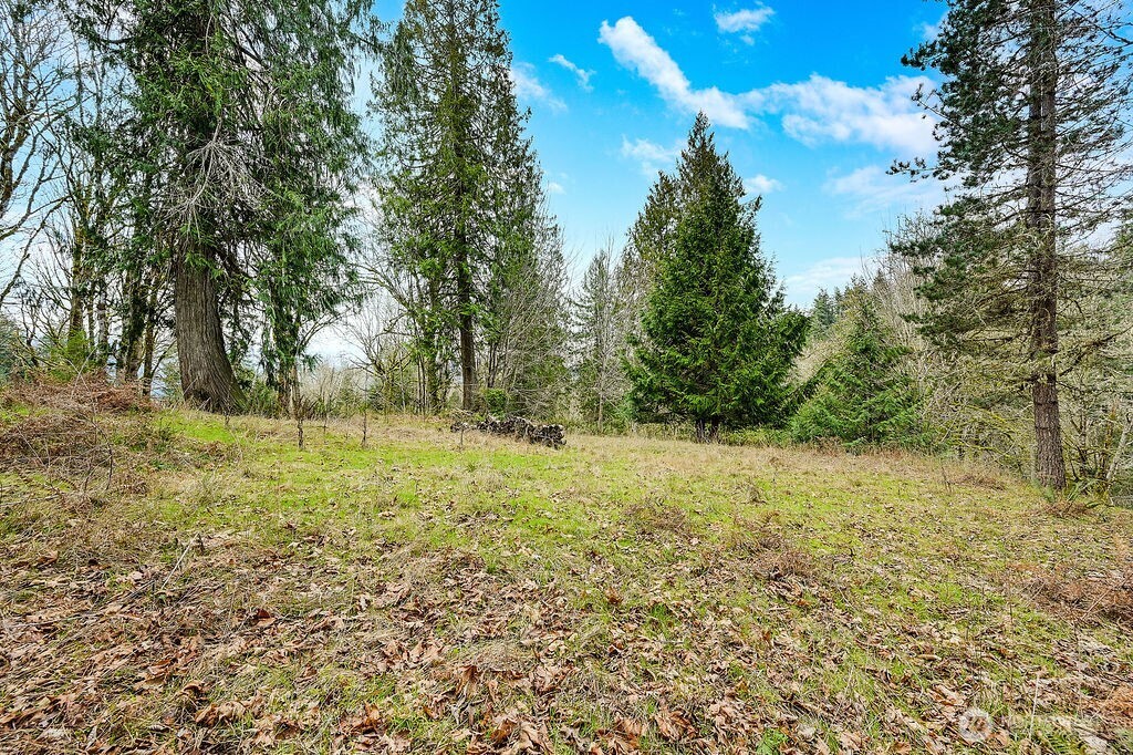 376 Beach Drive Property Photo 16