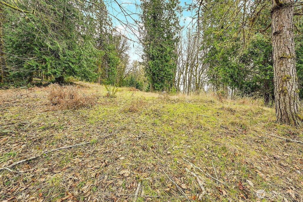 376 Beach Drive Property Photo 17