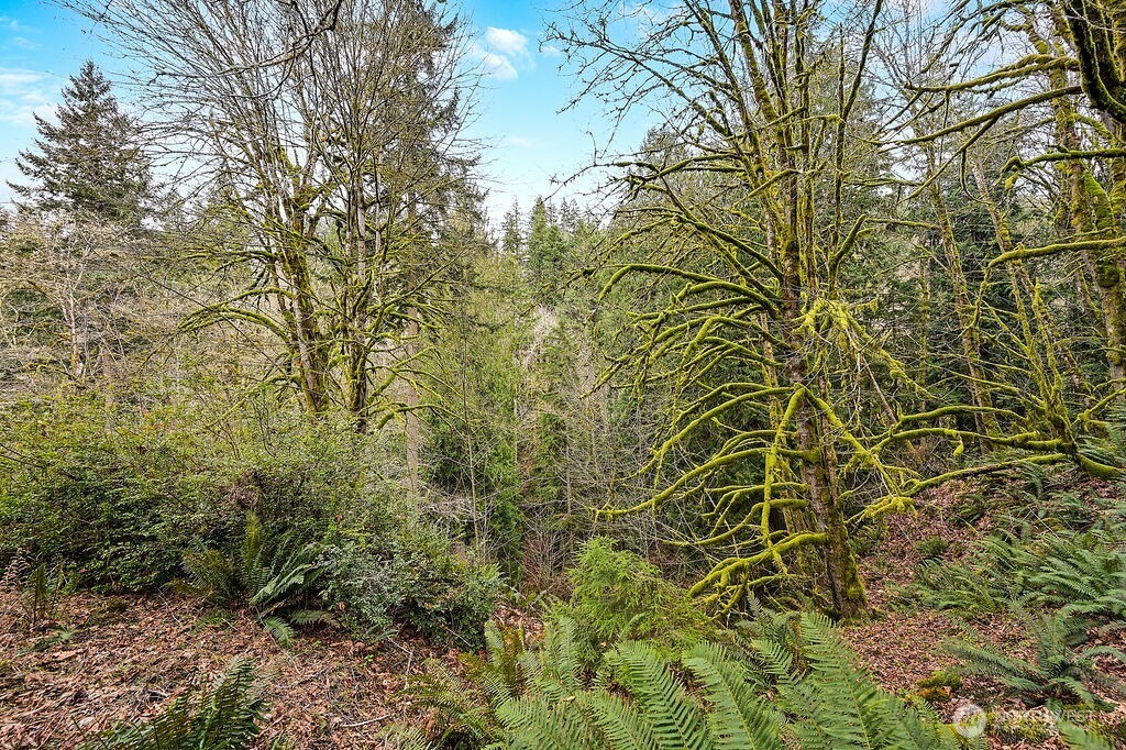 376 Beach Drive Property Photo 19