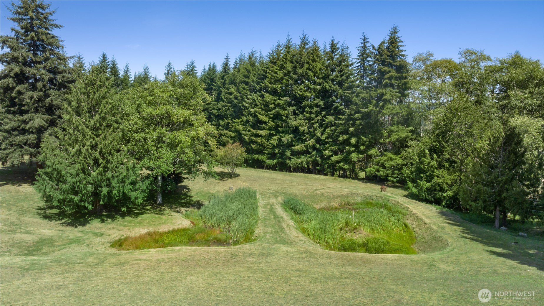 245 Joe Rocky Road Property Photo 33