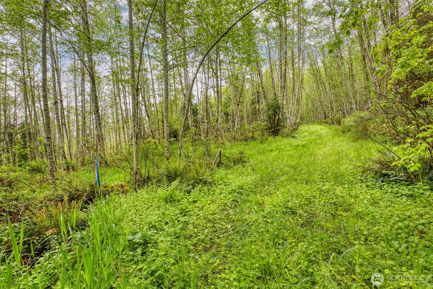 0 Elkhorn Lane Property Photo 15