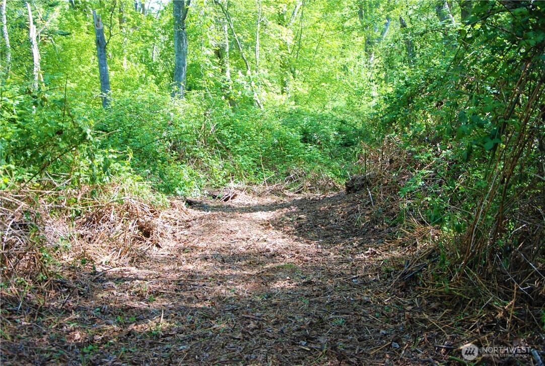 11 Koehn Road Property Photo 5