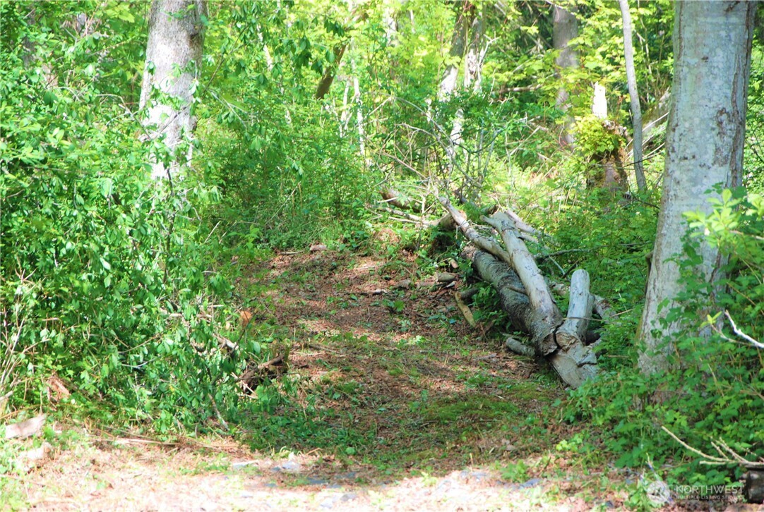 11 Koehn Road Property Photo 6