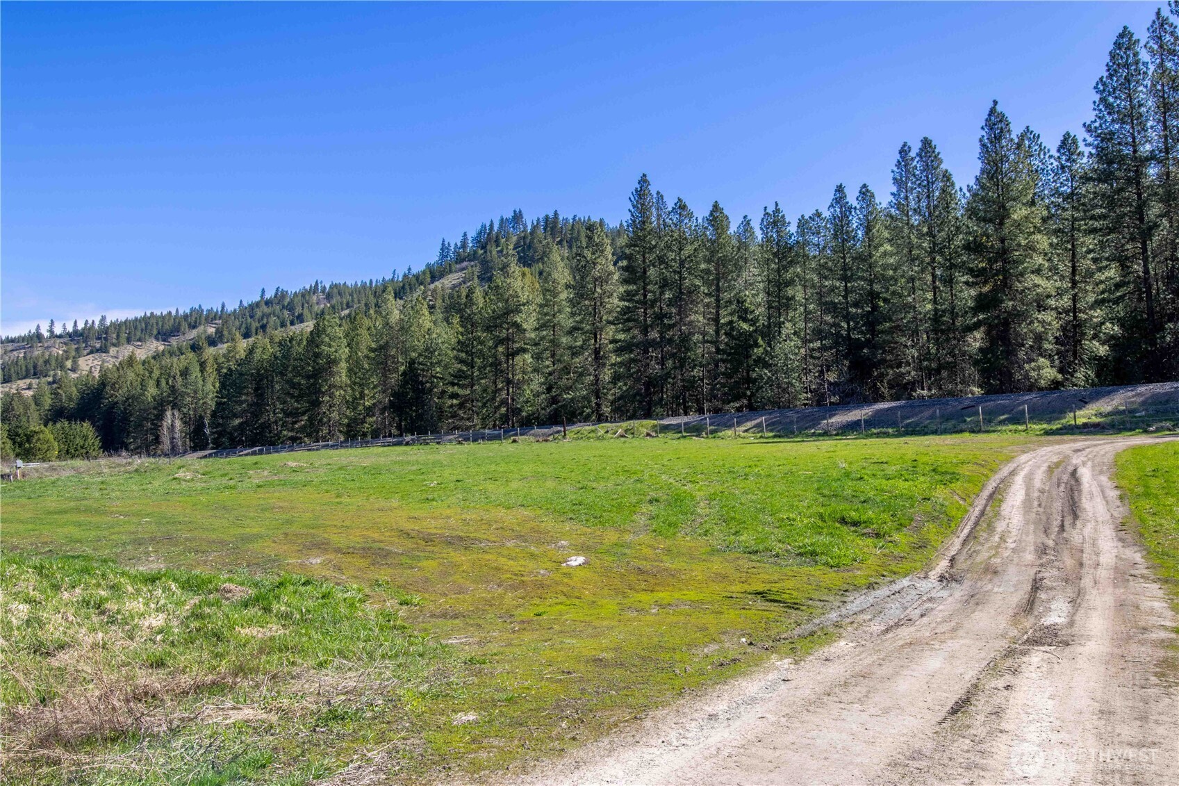 14905 Chumstick Highway Property Photo 3