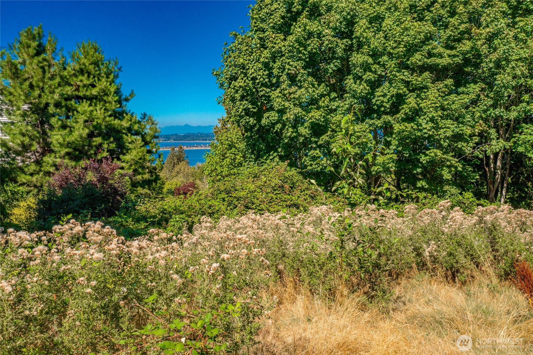 5526 Puffin Place Property Photo 6