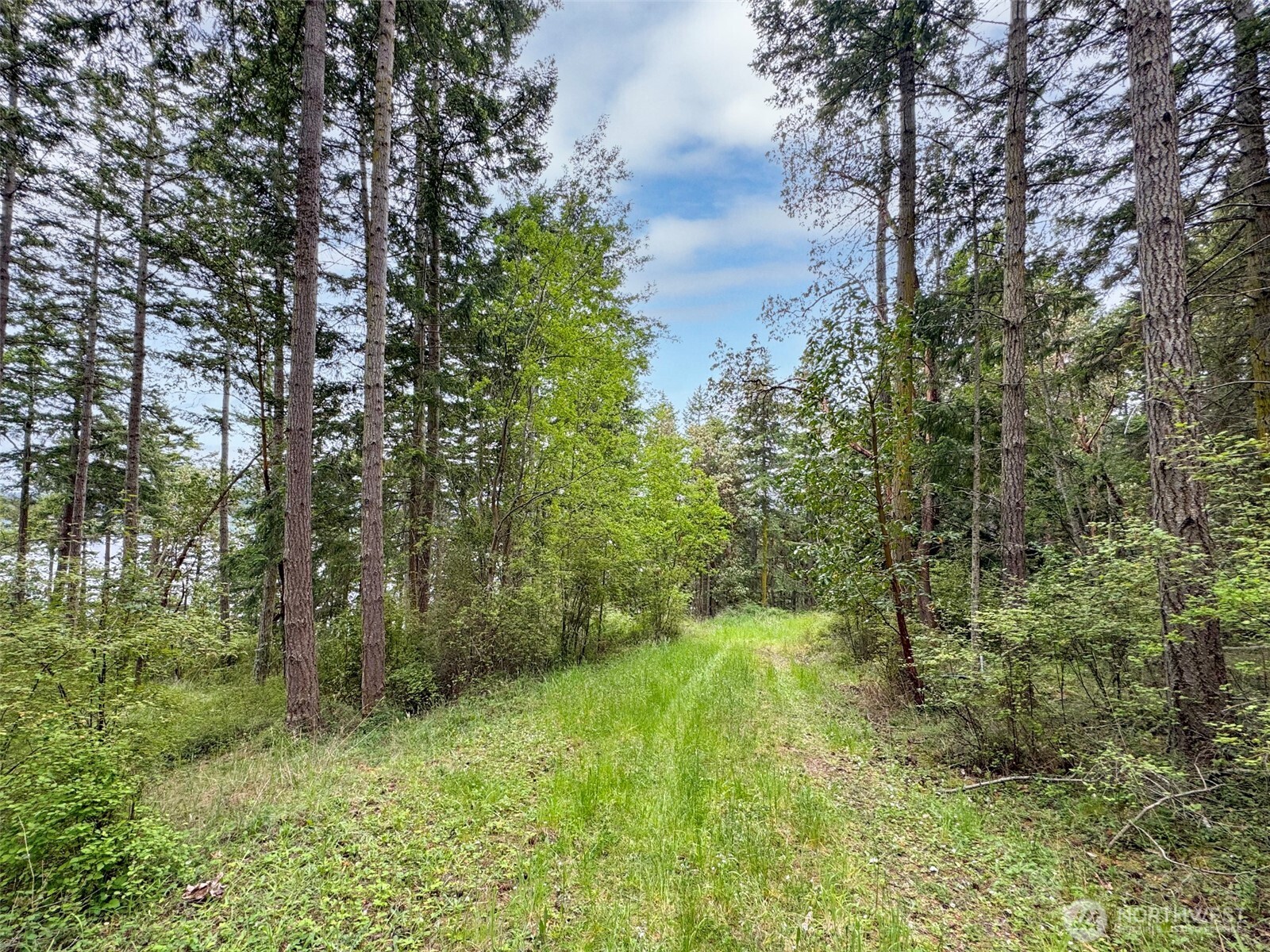 136 Discovery Crest Pl Property Photo 8