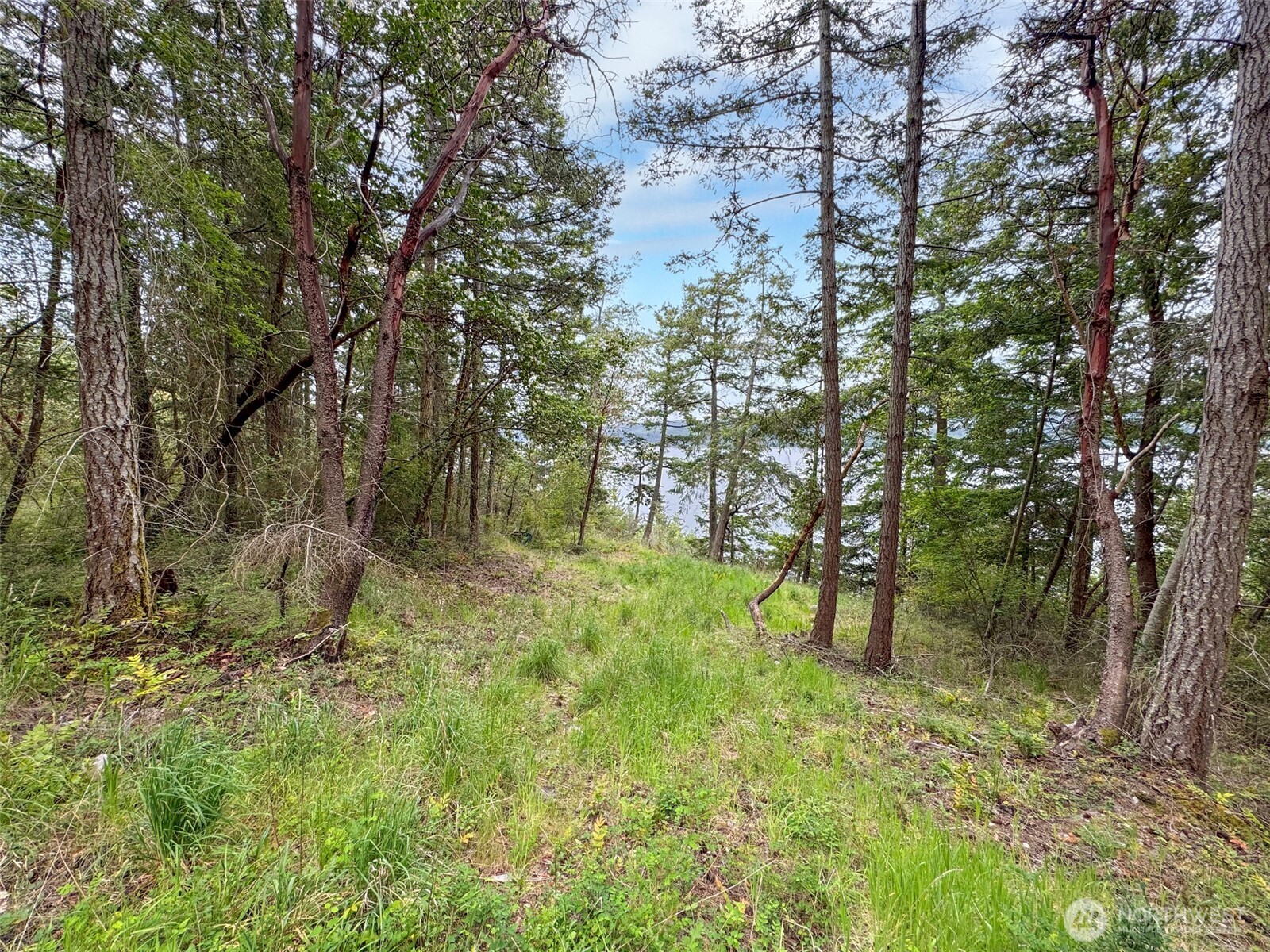 136 Discovery Crest Pl Property Photo 11