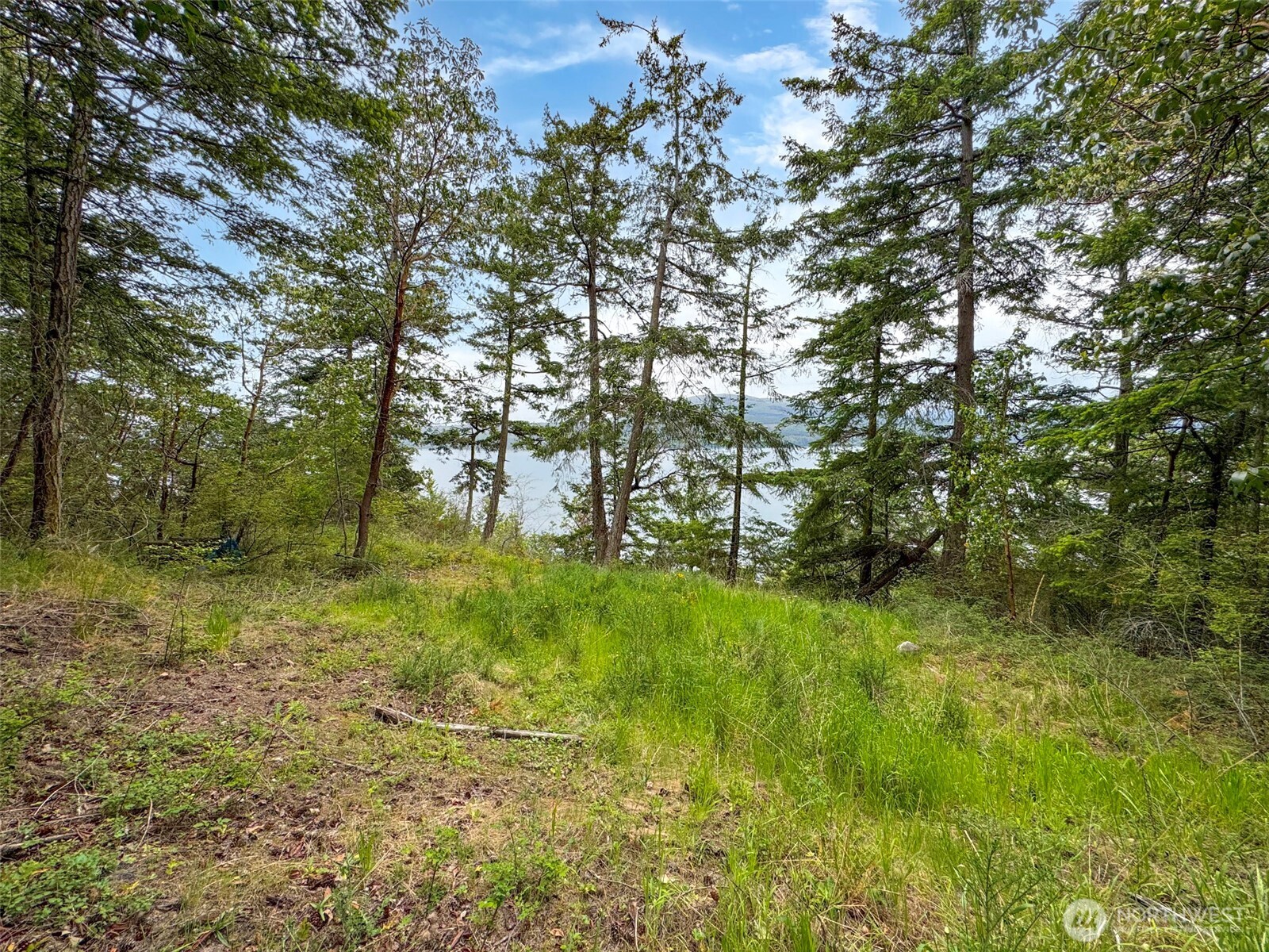136 Discovery Crest Pl Property Photo 12