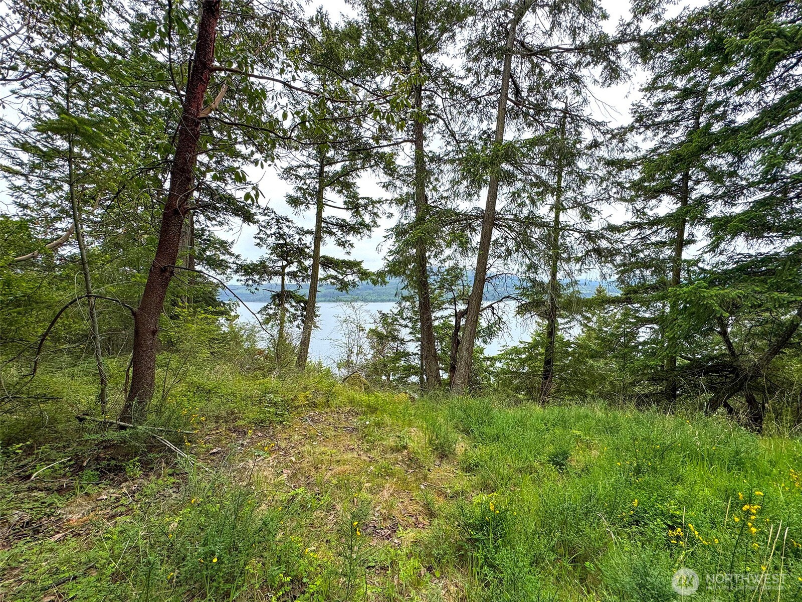136 Discovery Crest Pl Property Photo 13