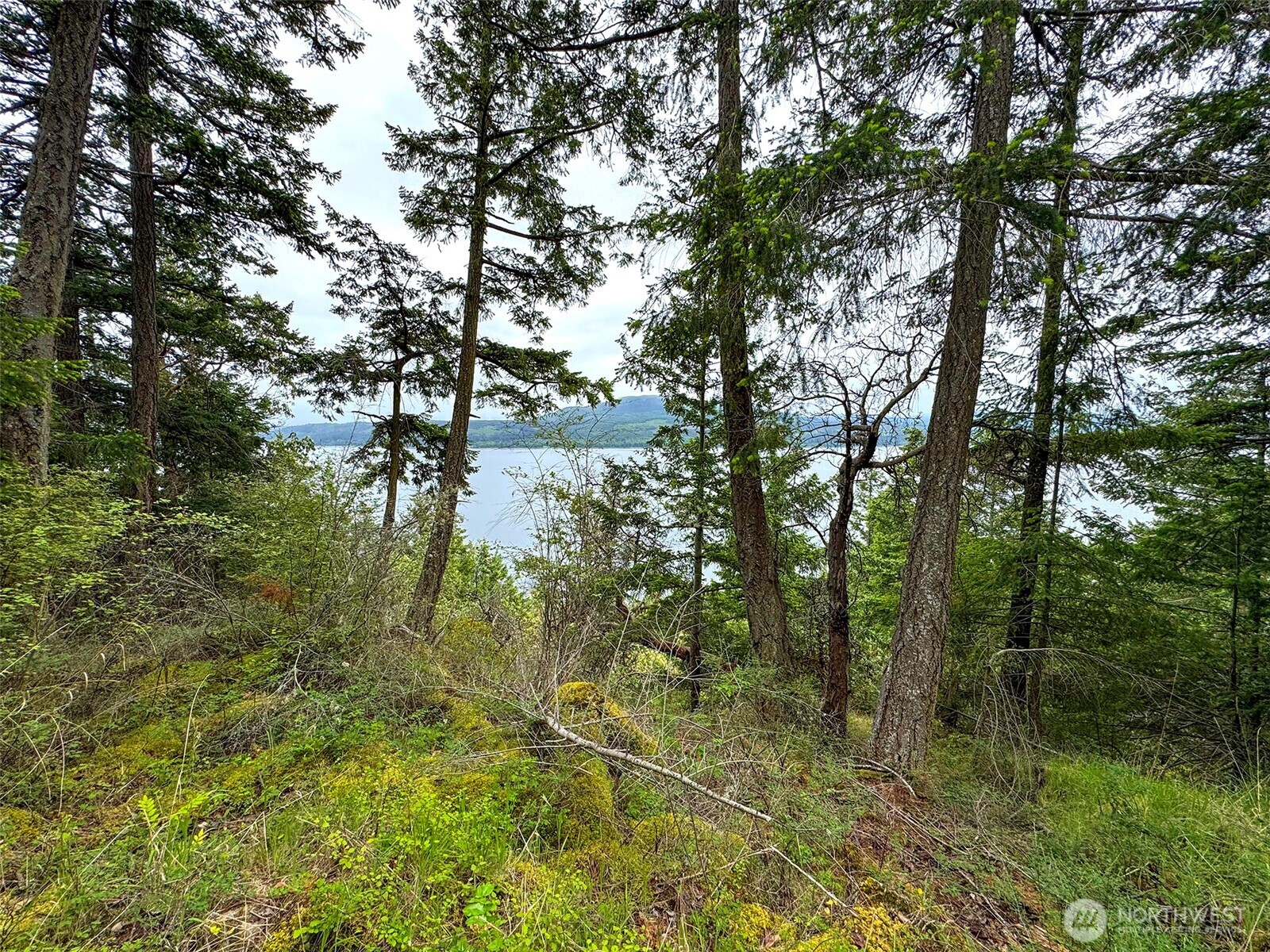 136 Discovery Crest Pl Property Photo 21