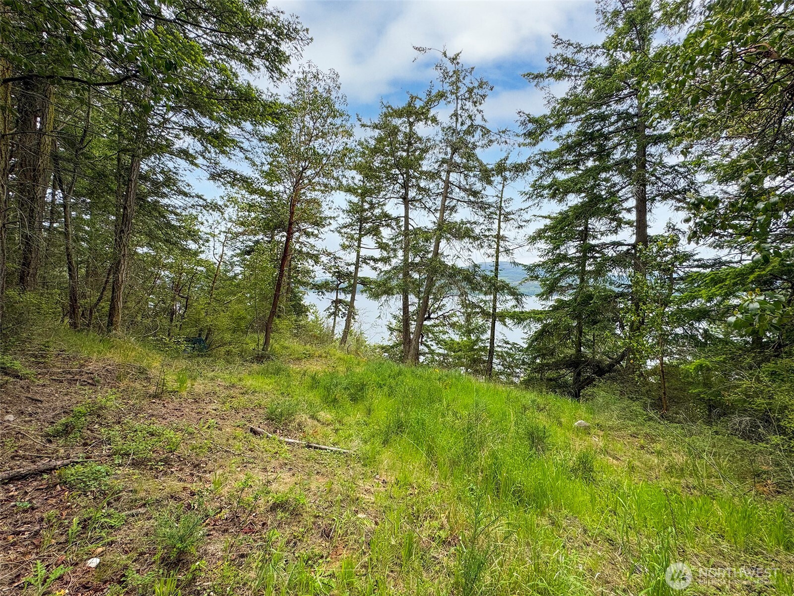 136 Discovery Crest Pl Property Photo 23