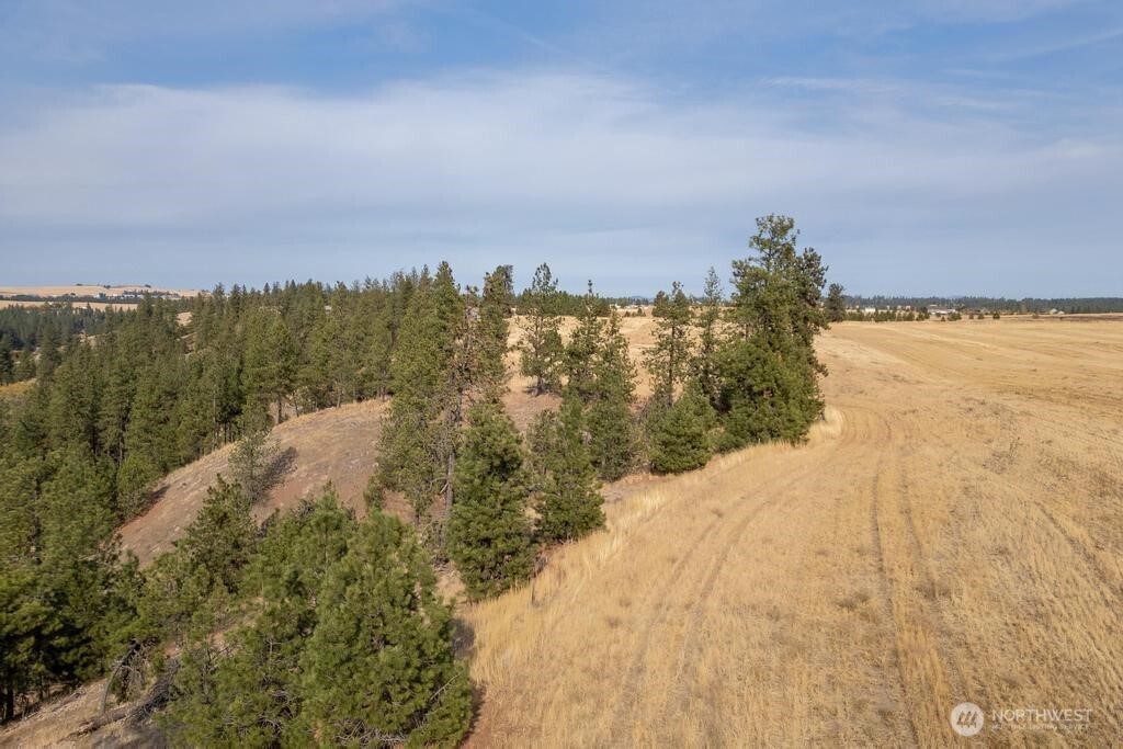 1000 N Christensen Property Photo 19