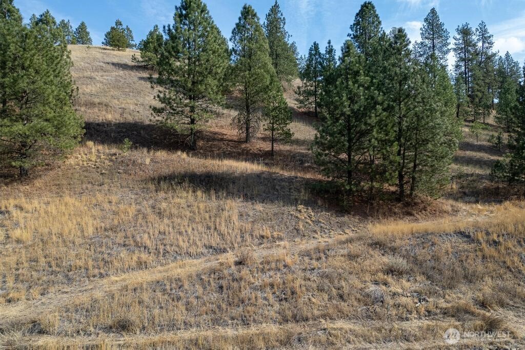 1000 N Christensen Property Photo 22