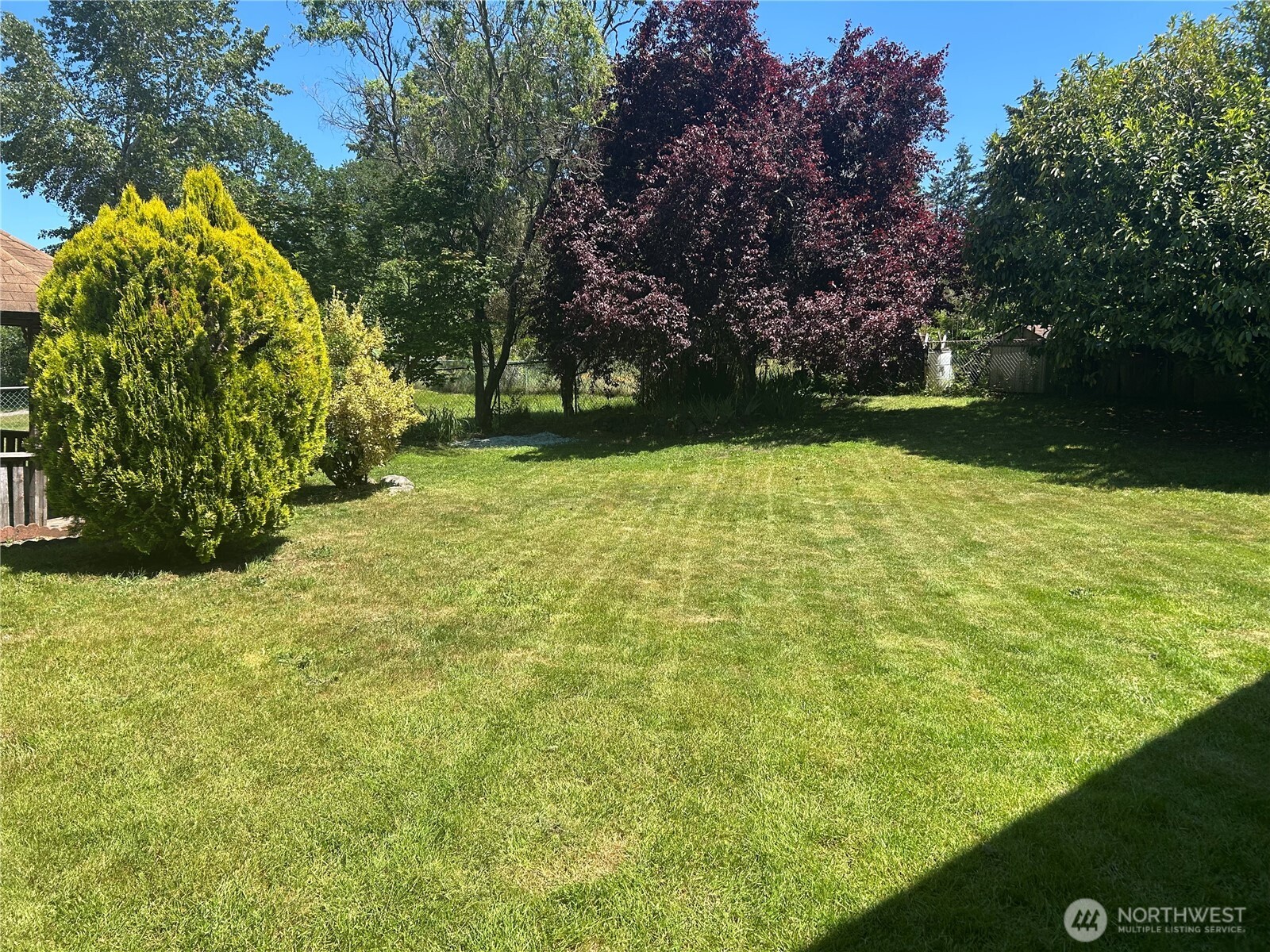 9310 Pinedrop Drive Property Photo 19