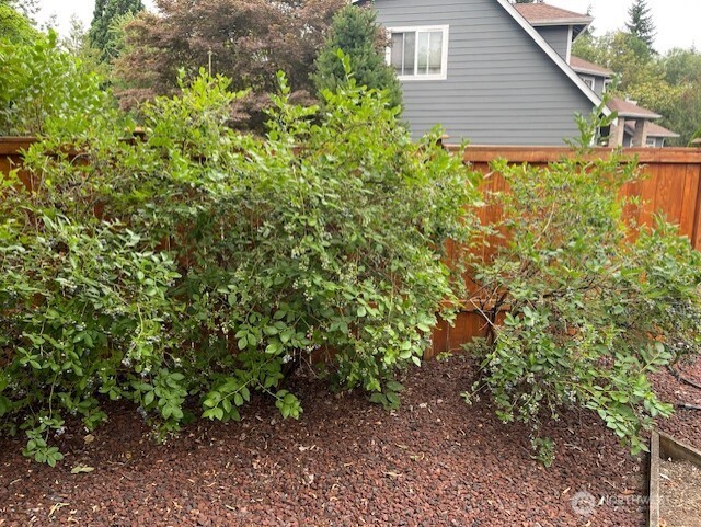 12312 9th Street Property Photo 18