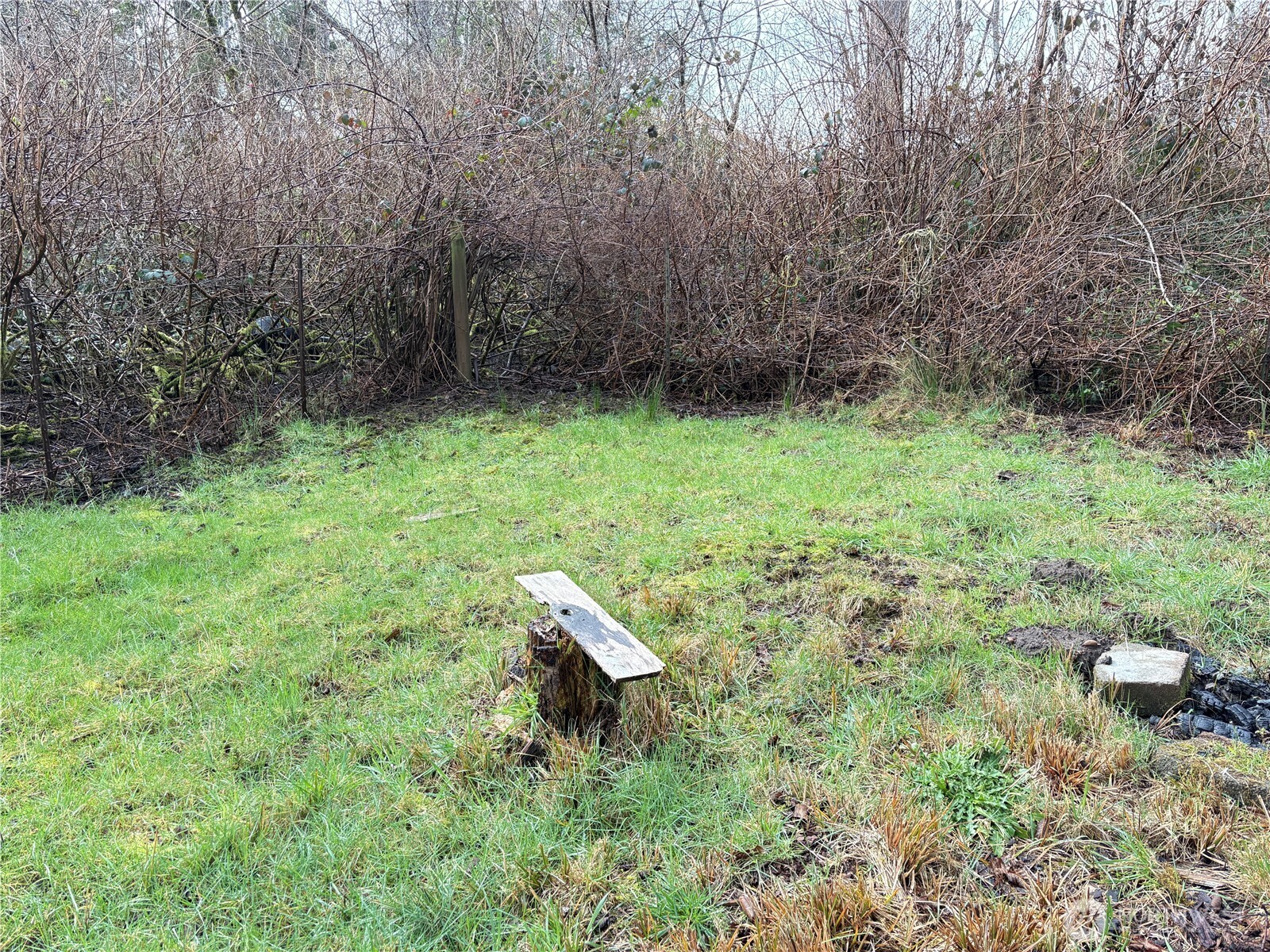 681 Duck Lake Drive Property Photo 4