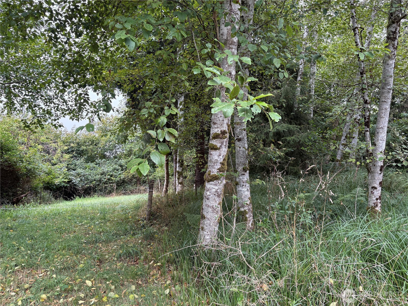681 Duck Lake Drive Property Photo 7