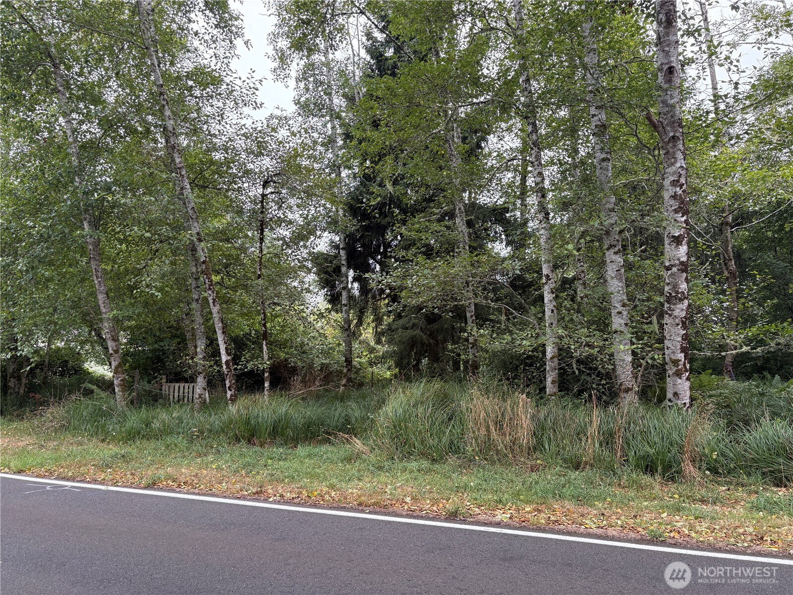681 Duck Lake Drive Property Photo 8