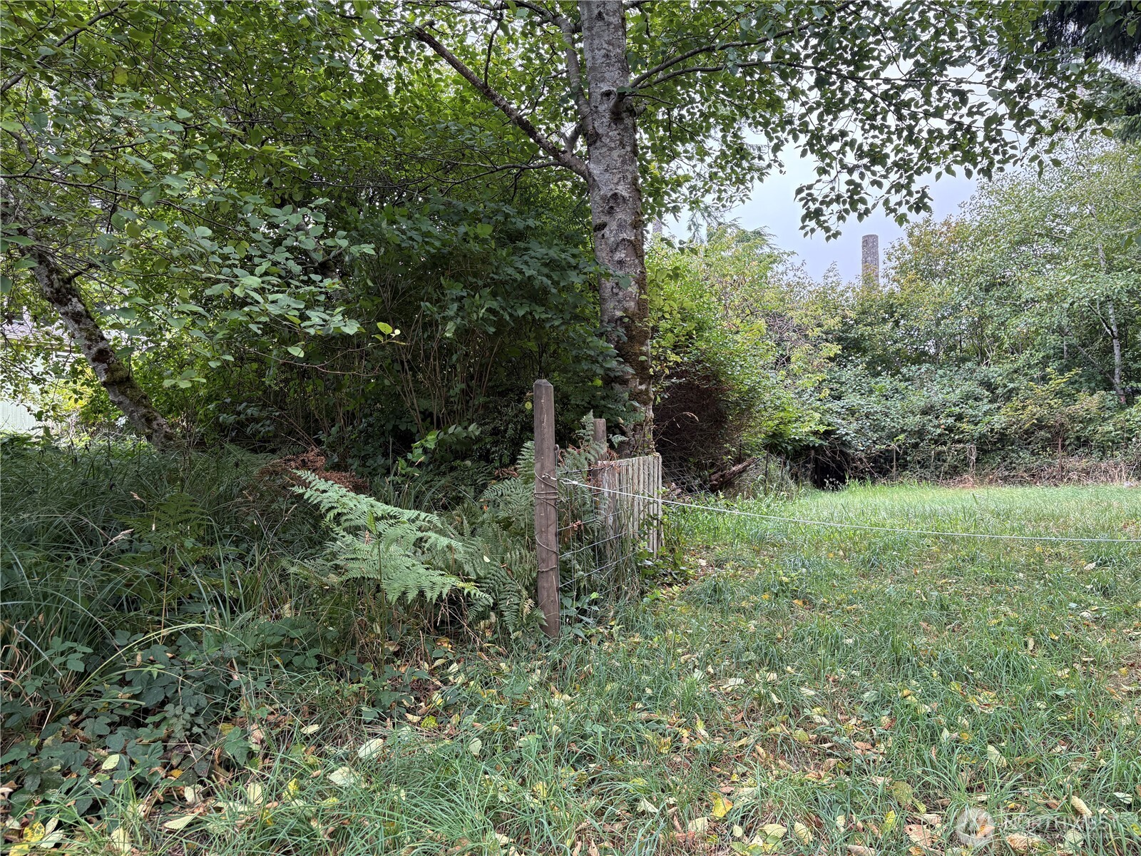 681 Duck Lake Drive Property Photo 11