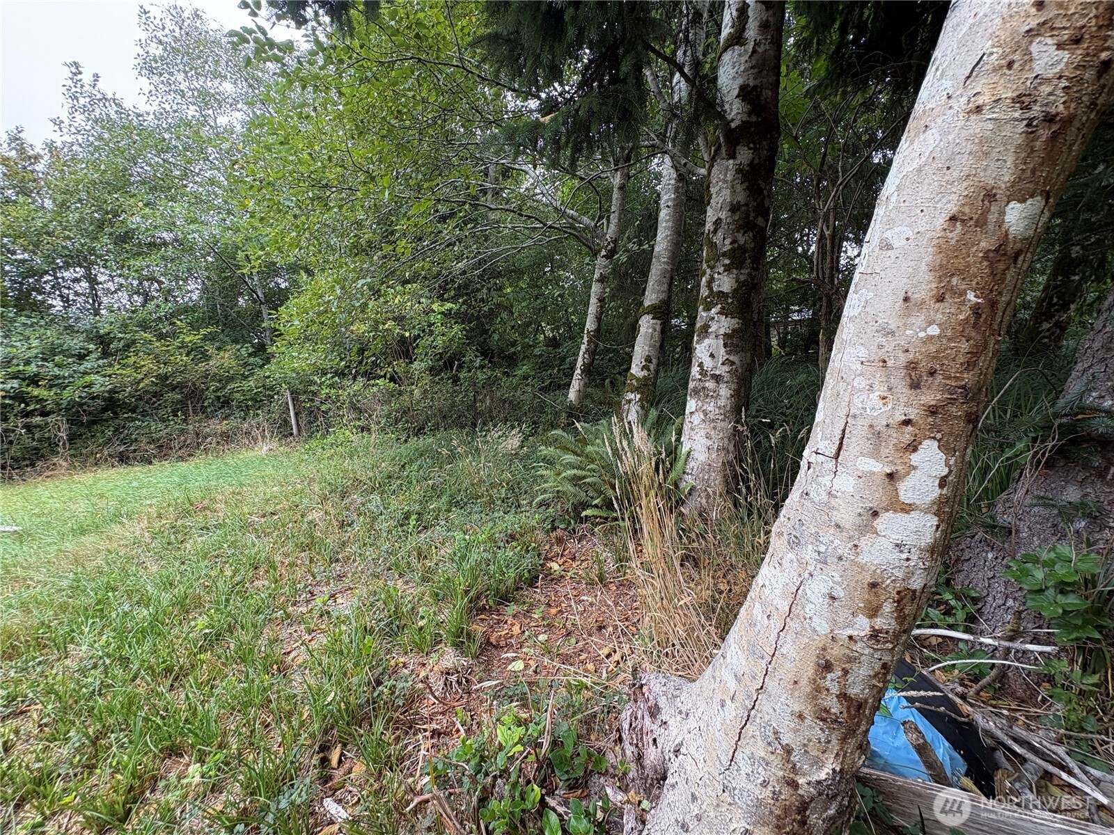 681 Duck Lake Drive Property Photo 16