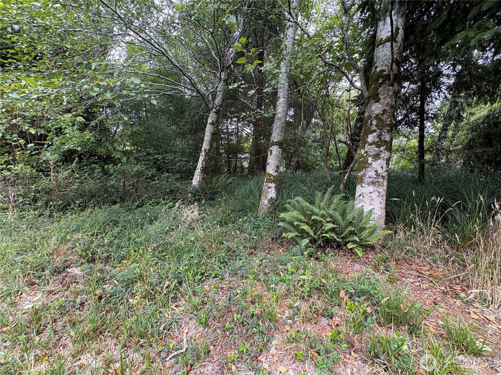 681 Duck Lake Drive Property Photo 17