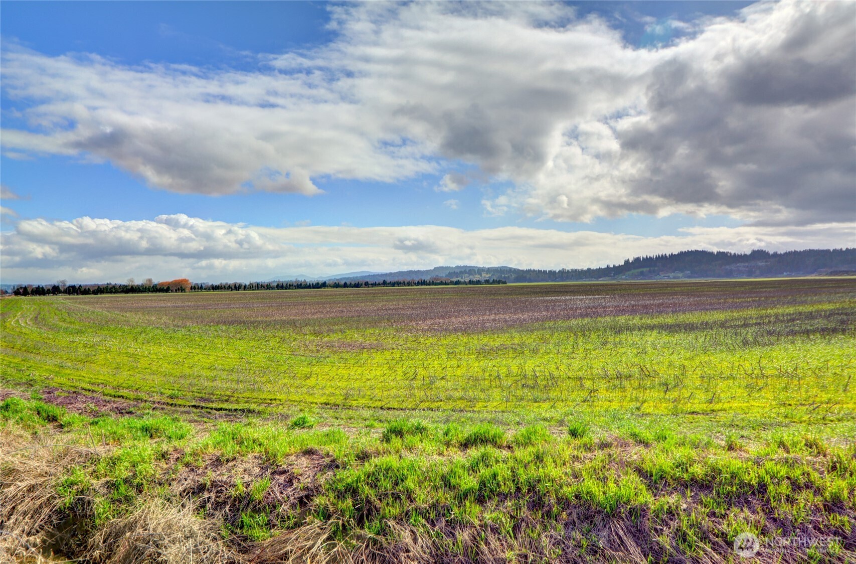 6910 Marsh Road Property Photo 4