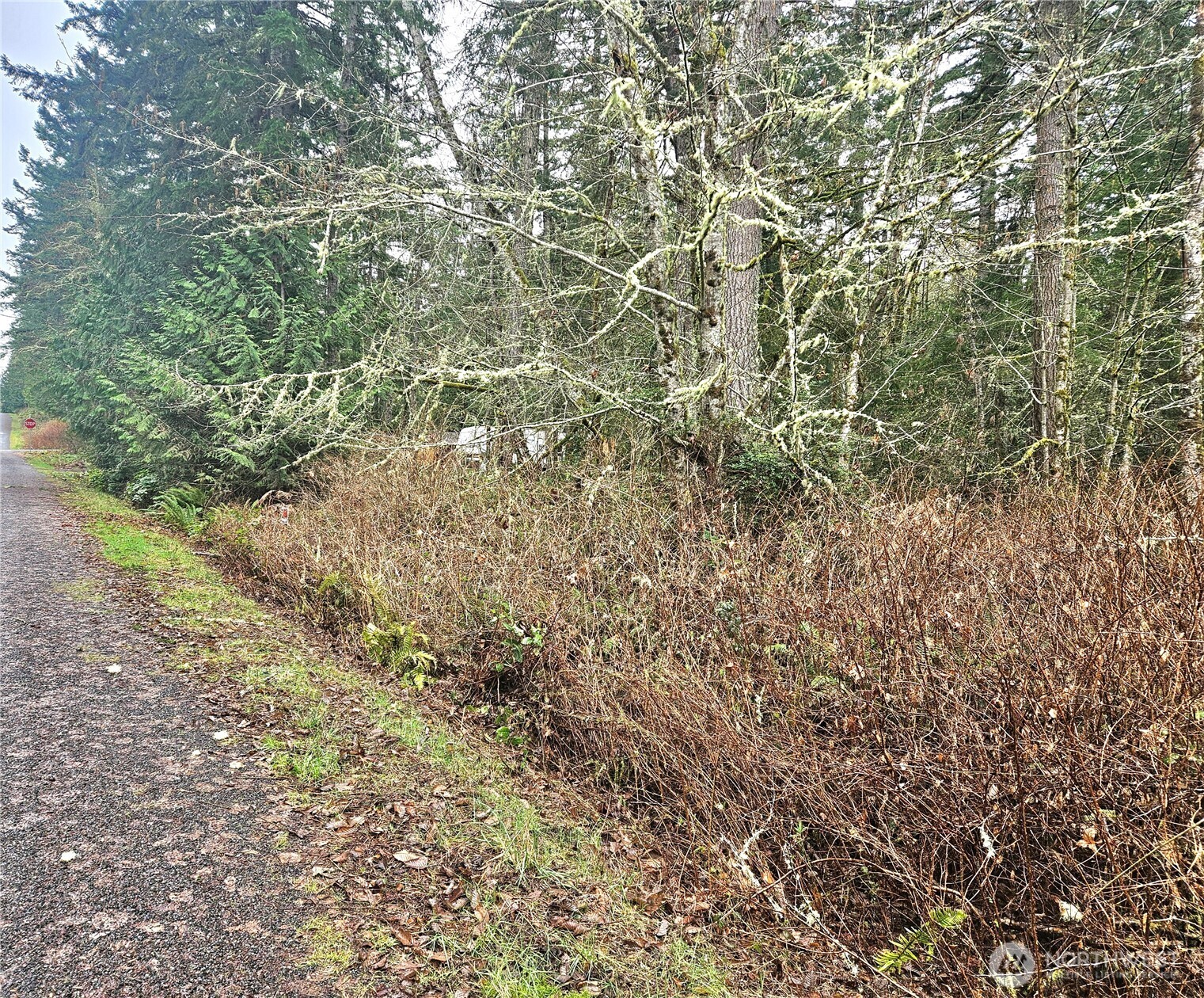 4 Nka W Go Onna Drive Property Photo 3