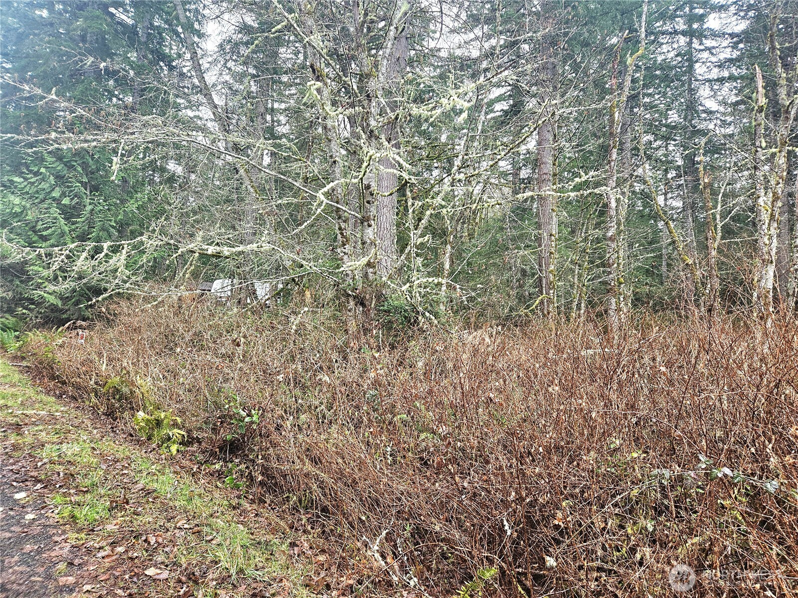 4 Nka W Go Onna Drive Property Photo 4