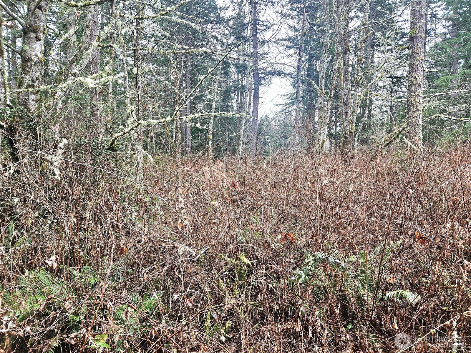 4 Nka W Go Onna Drive Property Photo 5