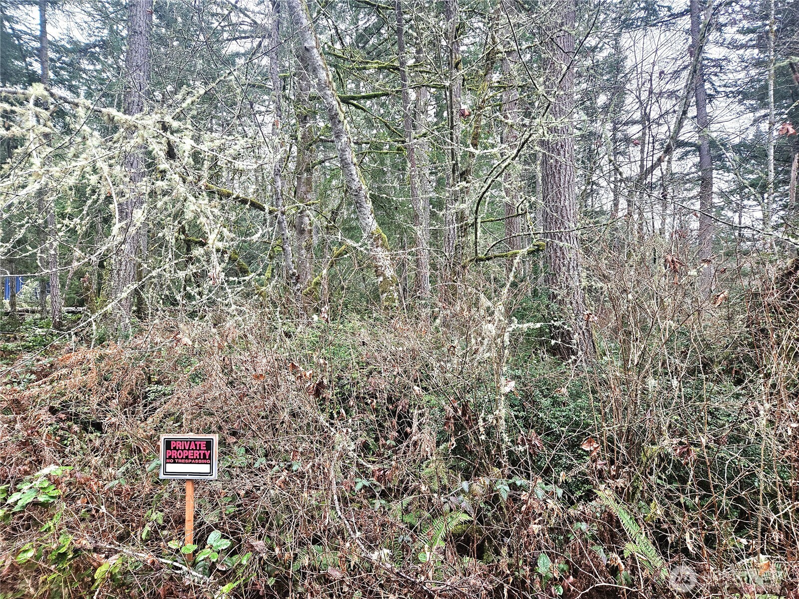 4 Nka W Go Onna Drive Property Photo 6