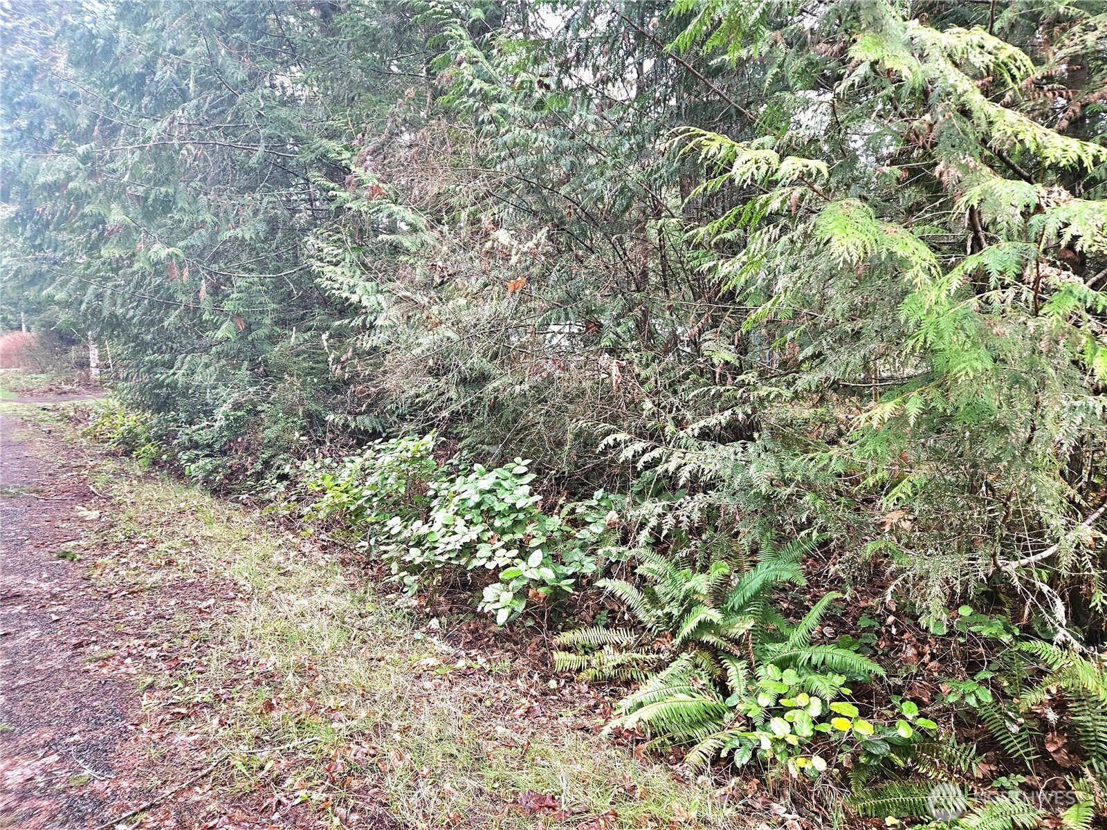 3 Nka W Go Onna Drive Property Photo 6