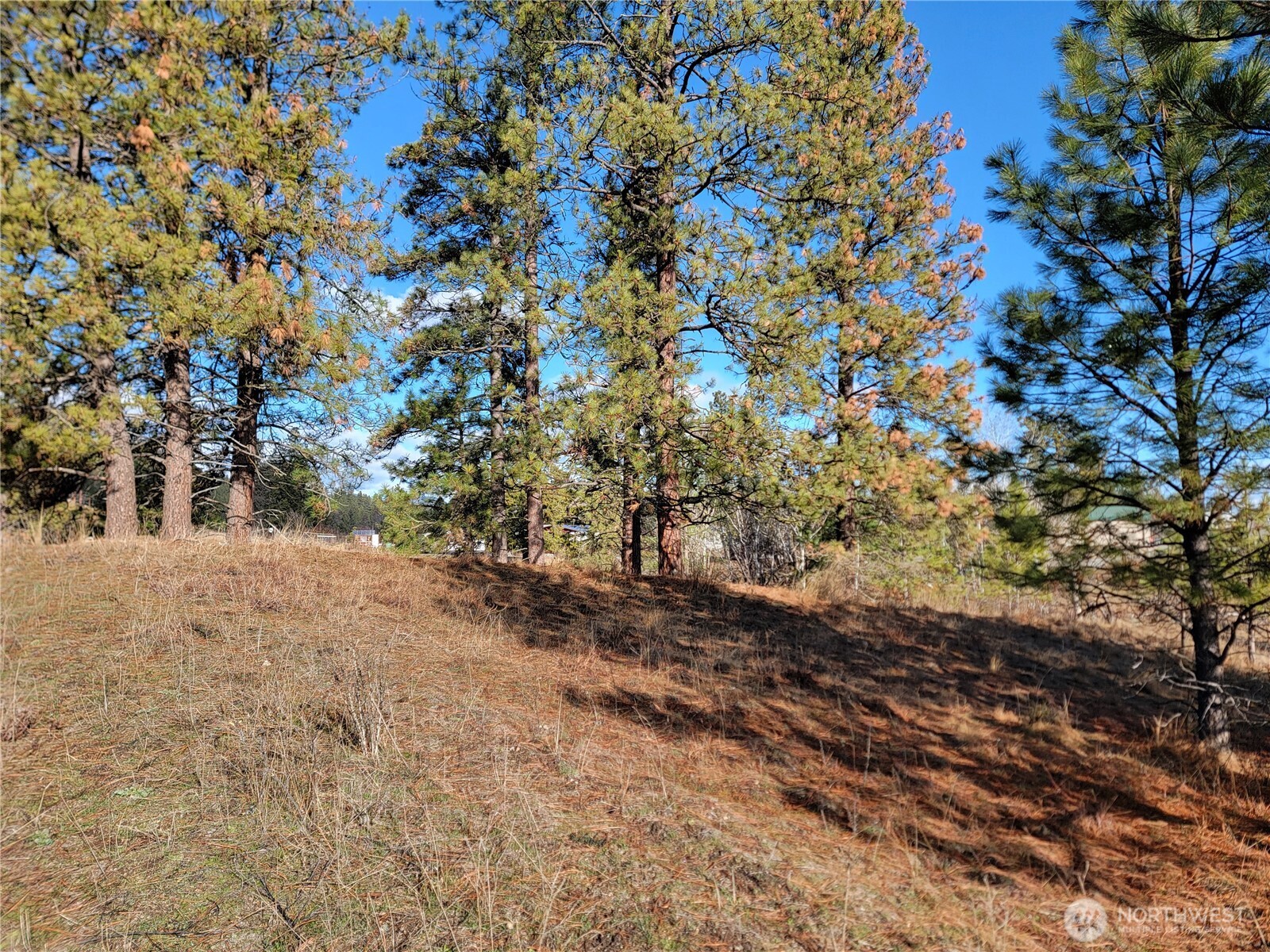 999 Lot 22 Stabenfeldt Drive Property Photo 6